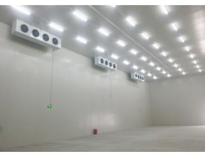 友達(dá)光電（廈門(mén)）低溫電子防爆冷庫(kù)工程建造方案