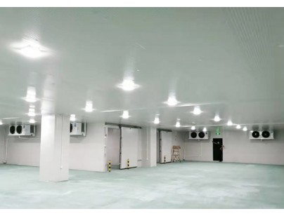 廣東完美400㎡日用品恒溫庫(kù)、冷藏庫(kù)（防爆冷庫(kù)）工程建造方案