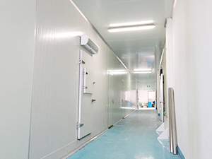 冷庫(kù)工程完工圖片