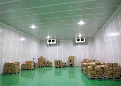 新疆冰容低溫倉儲冷庫出租內(nèi)景圖