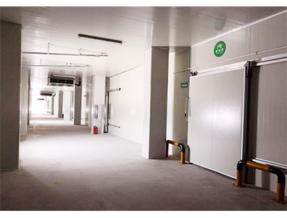 上海浦東新區(qū)12000平方米冷庫出租低溫冷藏冷凍庫運(yùn)營(yíng)招商