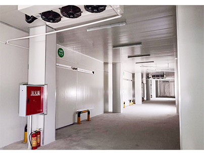 上海浦東新區(qū)12000平方米冷庫出租低溫冷藏冷凍庫運(yùn)營(yíng)招商