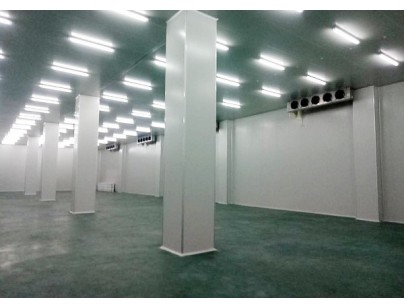 申聯生物10000m3醫(yī)藥冷庫（獸藥冷藏庫）工程案例