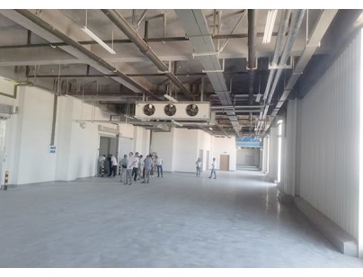 河北尚品（澳門）15000m3倉儲物流低溫冷藏冷凍庫建造方案