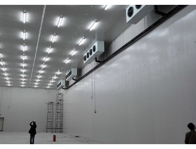 成都鐵路口岸中國海關(guān)檢驗檢疫30000立方大型肉類物流冷庫工程案例