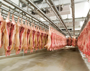 屠宰場(chǎng)建造一個(gè)冷凍庫(kù)要多少錢