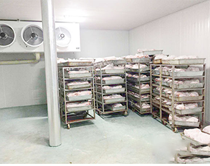 屠宰冷庫價(jià)格多少錢一平方米？