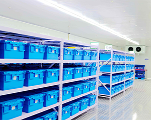 辛集存儲疫苗的企業(yè)建一個冷庫什么價格？