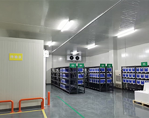 廣州體外診斷試劑冷庫gsp認證標準,醫(yī)用試劑冷庫配置解決方案