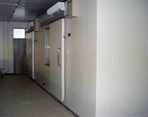 建造一個100平方米肉類速凍庫安裝造價多少錢？