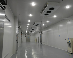 醫(yī)藥物流冷凍庫，檢驗科試劑冷庫建設(shè)要求標準