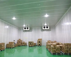 4500㎡藥品冷鏈物流冷庫設(shè)計(jì)方案，冷庫預(yù)算多少錢
