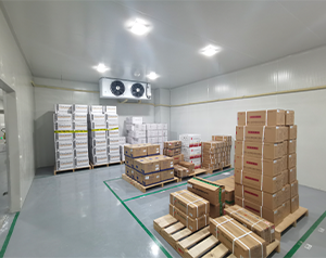 3000㎡醫(yī)藥物流冷庫(藥品冷鏈恒溫庫)安裝價格多少錢一平米