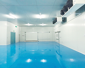 智能自動化冷庫設(shè)計規(guī)范:提升冷鏈物流效率與品質(zhì)保障