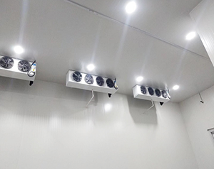 食物冷凍溫度是多少？