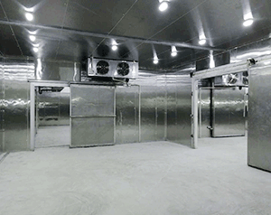 凈化車間冷庫設(shè)計規(guī)范,潔凈冷庫安裝規(guī)范標準要求