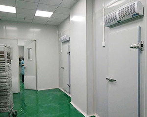 凈化冷庫工程造價標準規(guī)范，凈化車間冷庫溫度要求