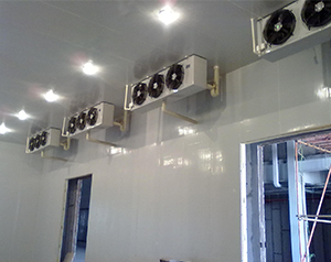 樣品冷庫(kù)安裝標(biāo)準(zhǔn)，冷庫(kù)費(fèi)用多少錢(qián)