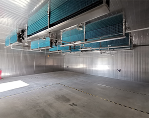 電子化工冷庫建設(shè)項目實施方案