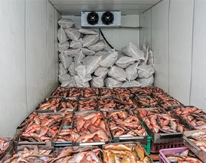 深圳2000平海鮮冷庫(kù)建造要多少錢