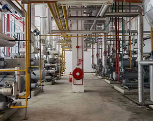 冷庫自動化應用范圍是什么