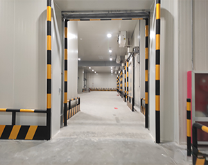 100噸雞蛋保鮮冷庫(kù)應(yīng)該建多大？及造價(jià)費(fèi)用說(shuō)明