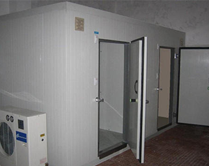 港口碼頭冷庫(kù)（拼裝式冷庫(kù)）安裝成本要多少錢(qián)？