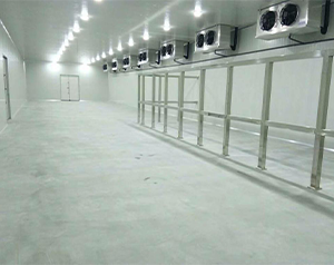 -18℃食品貿(mào)易冷凍庫建造標準及報價預算多少錢