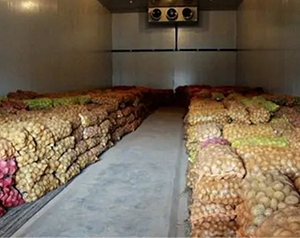 建造一千噸紅薯保鮮庫，費(fèi)用大概在多少？