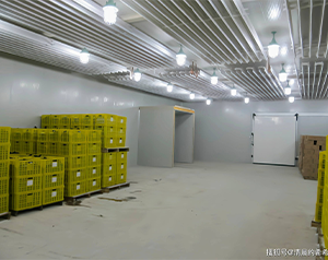 60噸大白菜在保鮮庫可以儲(chǔ)存多久，貯藏溫度是多少？