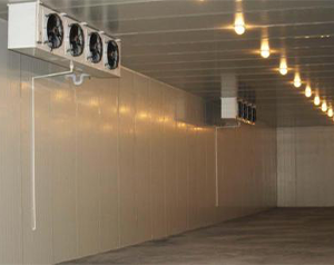 恒溫庫(kù)國(guó)家補(bǔ)貼要求？