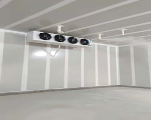 氣調(diào)庫(kù)儲(chǔ)藏辣椒應(yīng)該如何進(jìn)行保鮮?