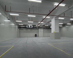 建200噸氣調(diào)庫多少錢?存放葡萄、獼猴桃