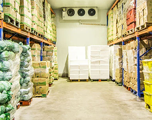 1000噸蔬菜恒溫庫造價的預算表？1000噸蔬菜恒溫庫設計方案？