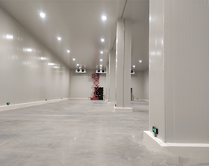 建造一個(gè)1000噸土豆冷庫(kù)需要多少錢