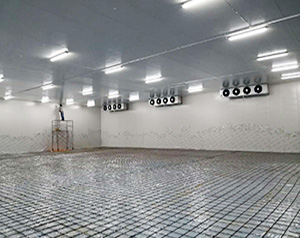 冷庫(kù)設(shè)計(jì)安裝報(bào)價(jià)廠(chǎng)家標(biāo)準(zhǔn)規(guī)范要求多少錢(qián)？