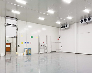 陰涼庫(kù)設(shè)計(jì)方案