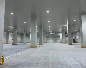 江西賣(mài)場(chǎng)肉品冷庫(kù)怎么收費(fèi)?