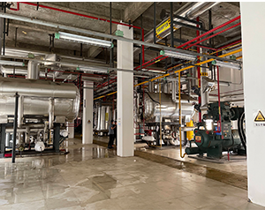 蘇州自動(dòng)化冷庫保養(yǎng)