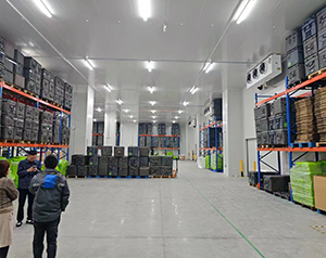 專業(yè)藥品冷庫安裝設(shè)計(jì),