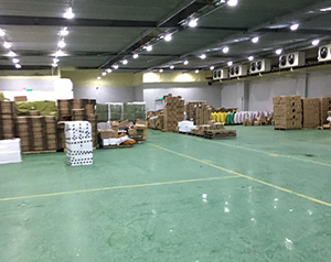 冷庫和廠房可以合建嗎？