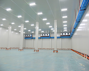 建造農(nóng)產(chǎn)品粗加工車間冷庫(kù)投資成本大概多少錢(qián)