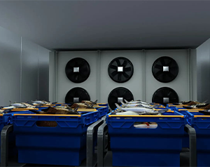 江西800立方生鮮冷庫造價(jià)預(yù)估多少?