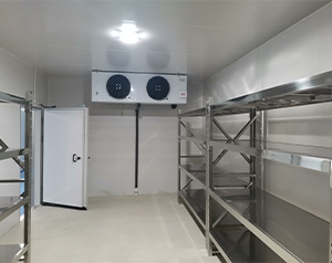 海南酒店廚房雙溫冷庫(kù)設(shè)計(jì)怎么做？