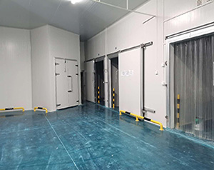 1000平方米混合結(jié)構(gòu)冷庫(kù)造價(jià)表多少錢