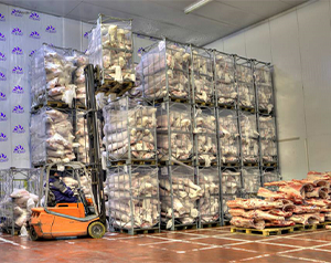 建造一個10噸的肉品冷凍庫多少錢？