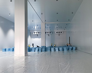 正常情況下國標(biāo)冷庫建設(shè)每平方多少錢？