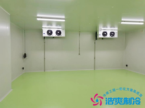 生物醫(yī)藥冷庫(kù)安裝配置方案