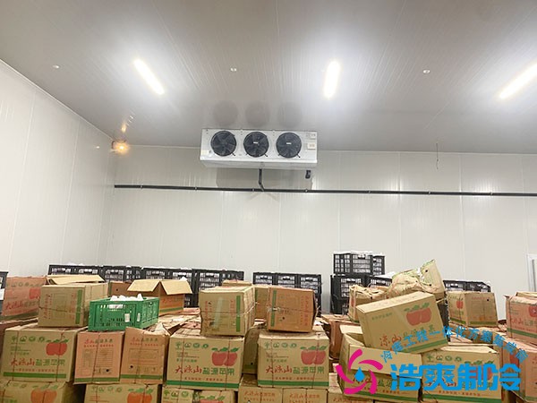 上海安裝一個(gè)20平米左右冷庫的具體費(fèi)用分析