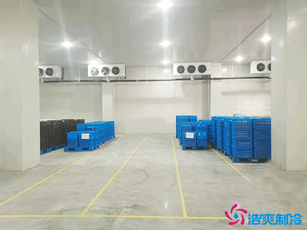 建造萬噸級大型冷庫造價大概多少錢？萬噸冷庫造價影響因素